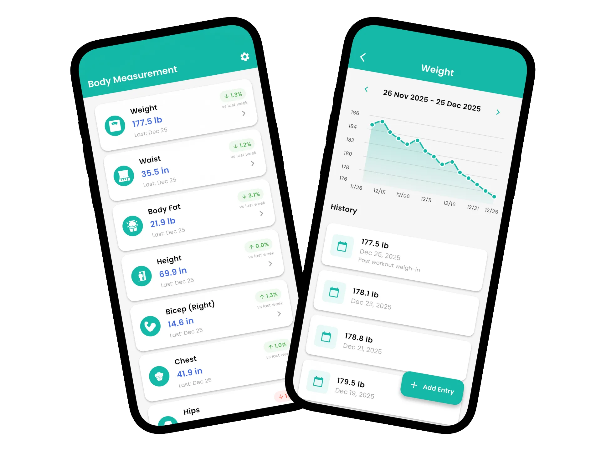 Body Measurement - Bodimo interface with logged body metrics